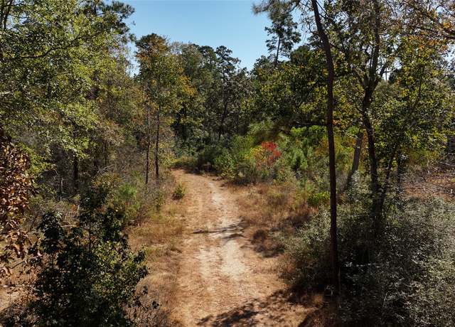 Property at 000 tbd Parrish Trl, Montgomery, TX 77356