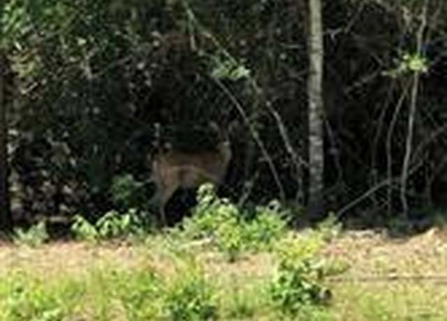 Property at 789 County Road 301 N, Dayton, TX 77535