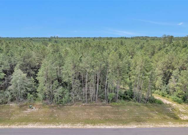 Property at 11976 Highbranch Way, Willis, TX 77378