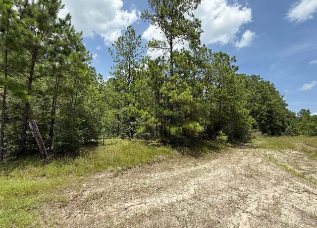 Property at TBD Spayberry Ln, Corrigan, TX 75939