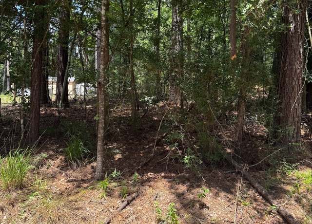 Property at 0 Non Such Rd, Livingston, TX 77351
