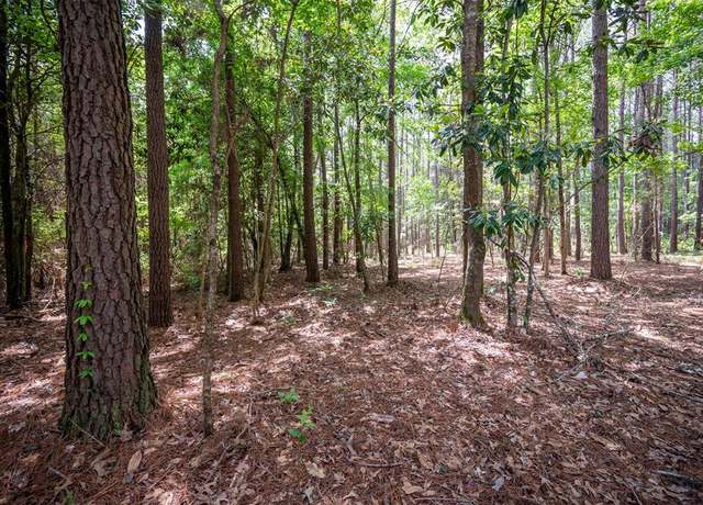 Property at tbd Tile Plant Rd, Woodville, TX 75979
