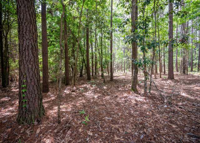 Property at tbd Tile Plant Rd, Woodville, TX 75979