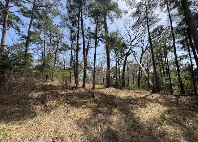 Property at 312 Waterview Dr, Trinity, TX 75862