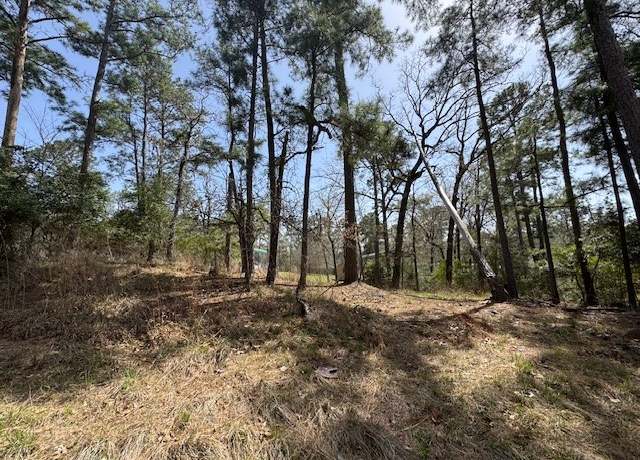 Property at 312 Waterview Dr, Trinity, TX 75862