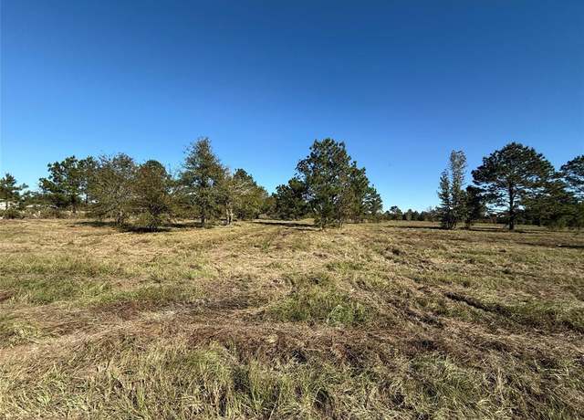 Property at 0 County Road 3011a, Dayton, TX 77535