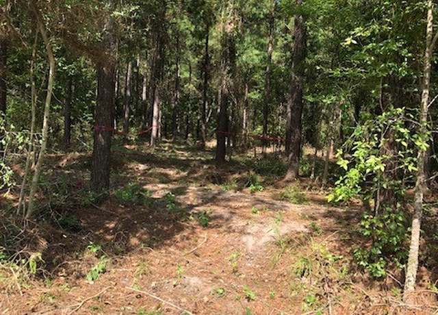 Property at 0 Kickapoo - Tract 33 Colt Ii Rd, Groveton, TX 75845