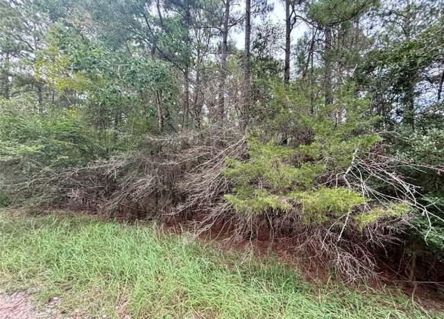 Property at TBD Parkview Dr, Onalaska, TX 77360