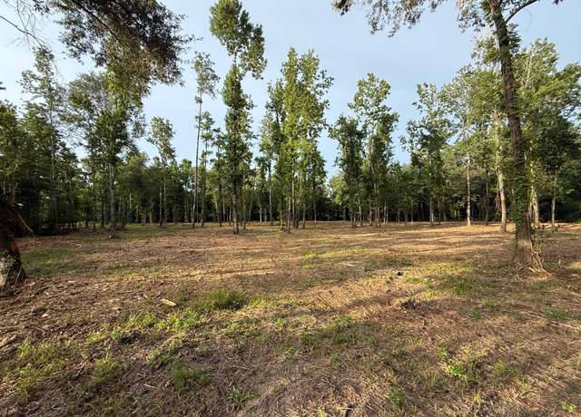 Property at 0 Walters Rd, Ames, TX 77575