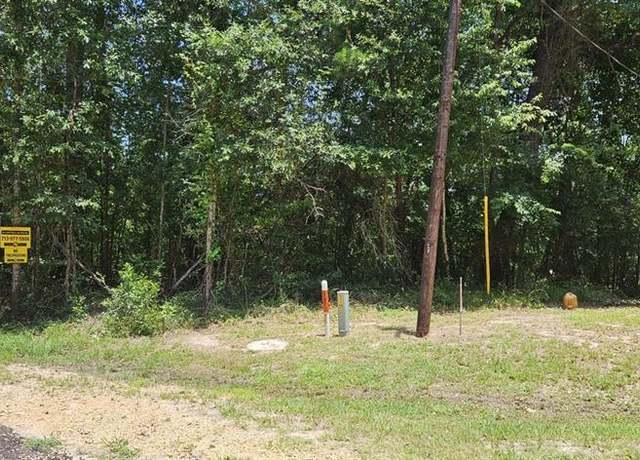 Property at 0 Blanks Bend Rd, Coldspring, TX 77331