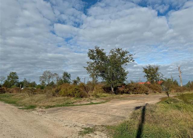 Property at 225 Mulberry Cv, Onalaska, TX 77360