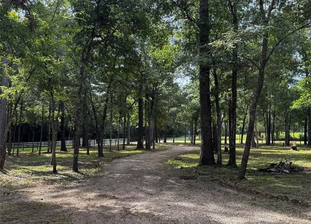 Property at 15728 Golden Rain Ln, Plantersville, TX 77363