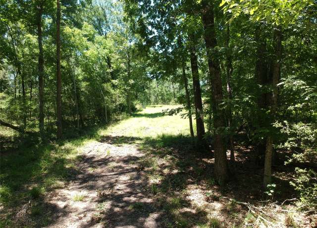 Property at 5183 Felix Currie Rd, Point Blank, TX 77364
