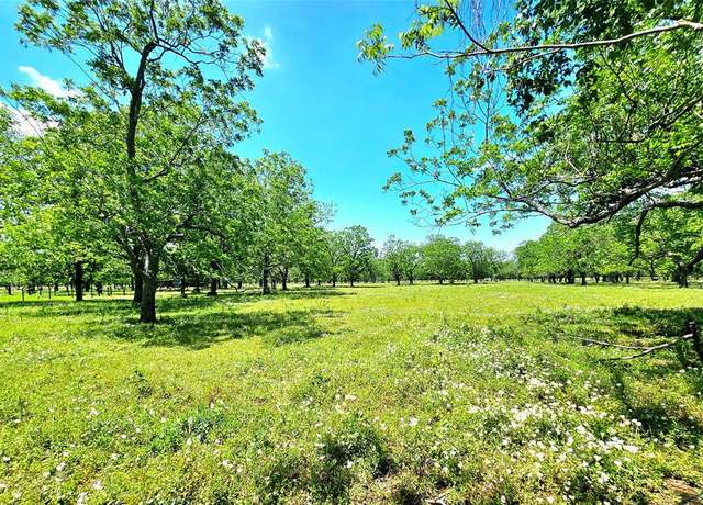 Property at 0 CR 153, Boling, TX 77420