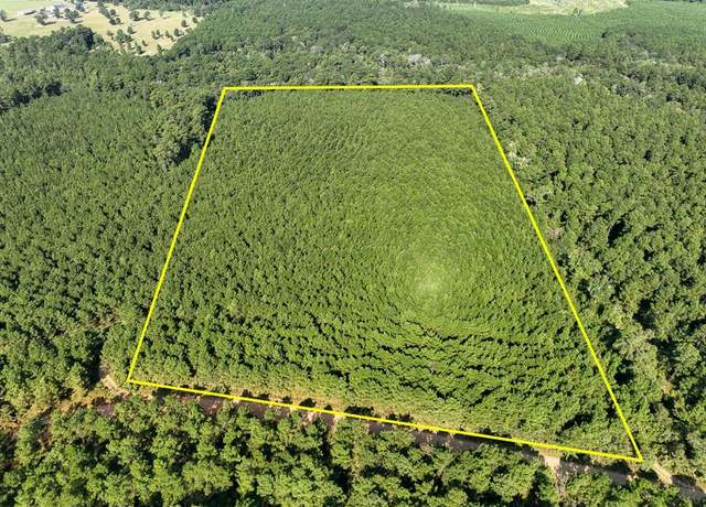 Property at 0 Shady Grove Rd, Woodville, TX 75979