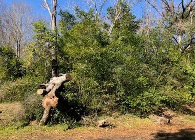 Property at 0 Marlin Lot 312 Dr, Hemphill, TX 75948