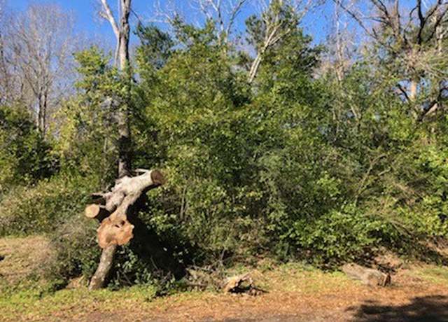 Property at 0 Marlin Lot 312 Dr, Hemphill, TX 75948