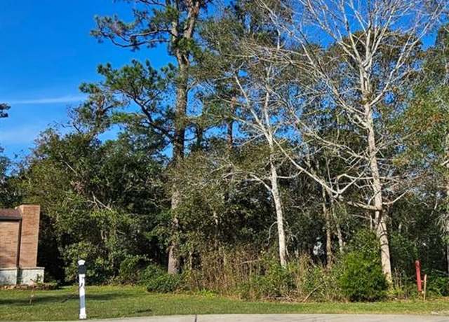 Property at 0 Pine Ln, Dickinson, TX 77539