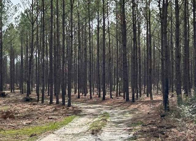 Property at TRACT 4 Lloyd Walker Rd, Huntington, TX 75949