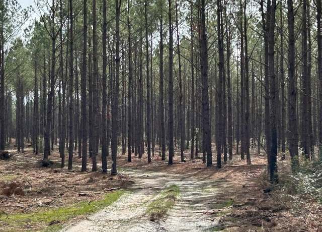 Property at TRACT 4 Lloyd Walker Rd, Huntington, TX 75949