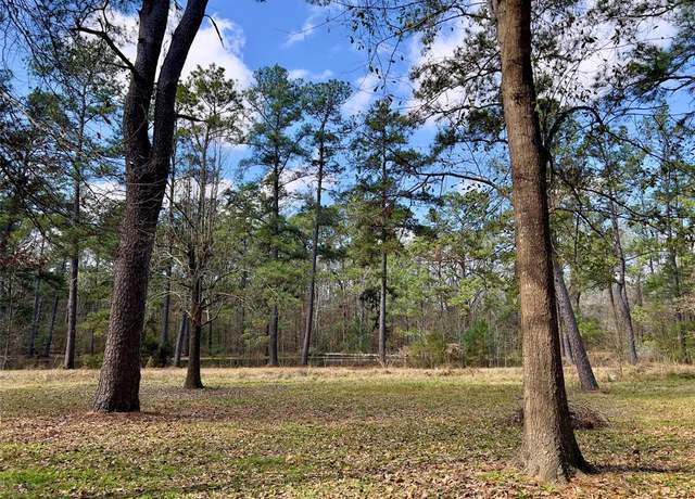 Property at TBD Kent St, New Caney, TX 77357