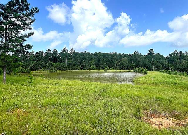 Property at TBD Fm 1119, Leona, TX 75850