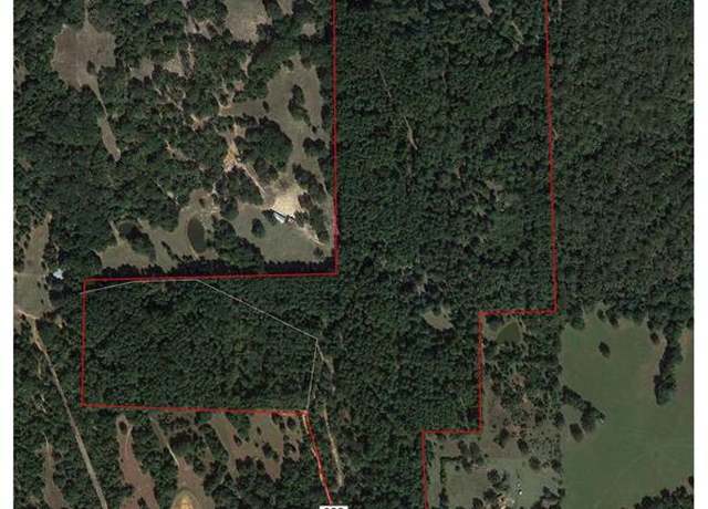 Property at 111 County Road 322, Centerville, TX 75833