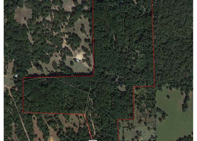 Property at 111 County Road 322, Centerville, TX 75833