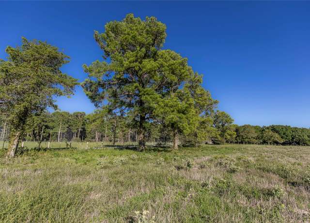 Property at Tract 2 Nelius Rd, Bellville, TX 77418