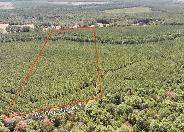 Property at 0 Sunflower Rd, Livingston, TX 77351
