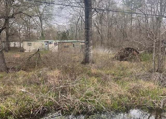 Property at 0 San Juan, Goodrich, TX 77335