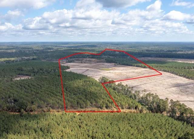Property at 3 TBD Segno Fire Lane Rd, Livingston, TX 77351
