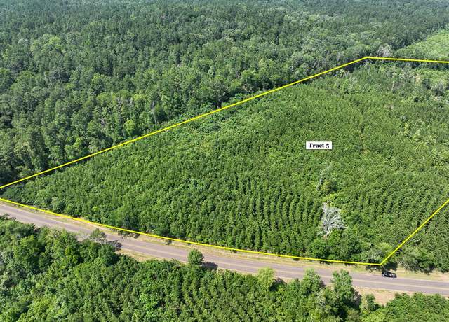 Property at 05 State Road 35, Geneva, TX 75959