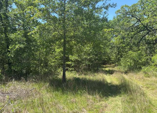Property at TBD Dickey Loop, Bedias, TX 77831