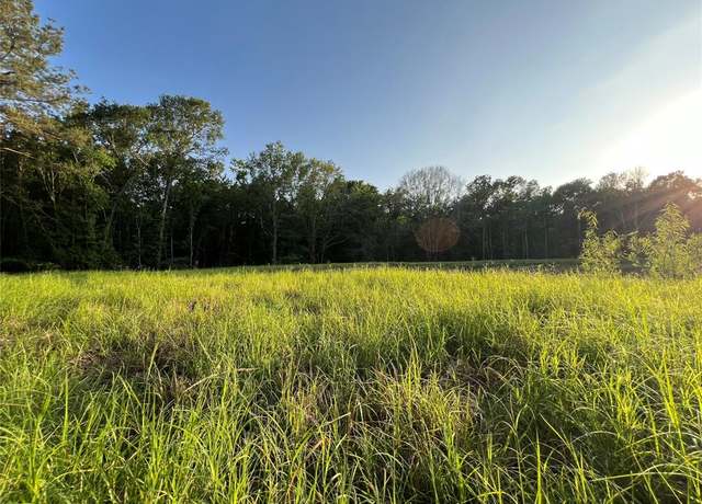 Property at 23017 Bailey Grove Rd, Montgomery, TX 77356