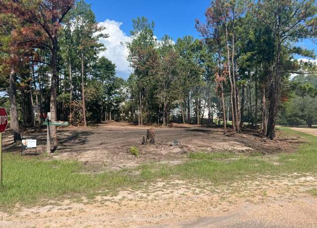 Property at 150 Lakeshore Dr, Brookeland, TX 75931