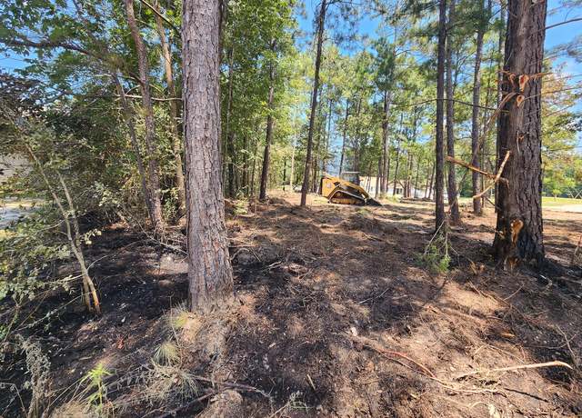 Property at 150 Lakeshore Dr, Brookeland, TX 75931