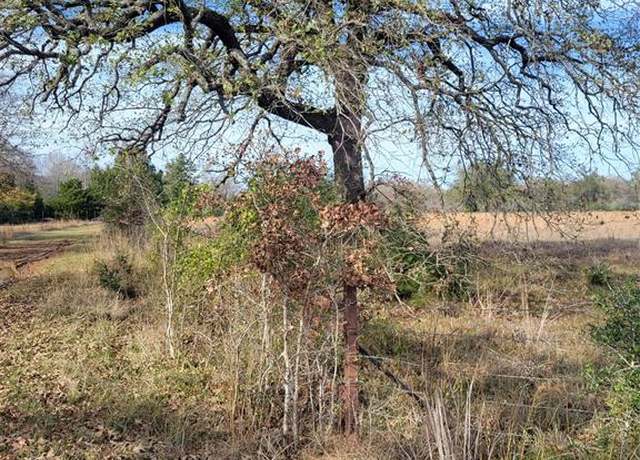 Property at 1 Navarro Ln, Grapeland, TX 75855