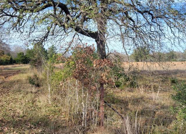 Property at 1 Navarro Ln, Grapeland, TX 75855