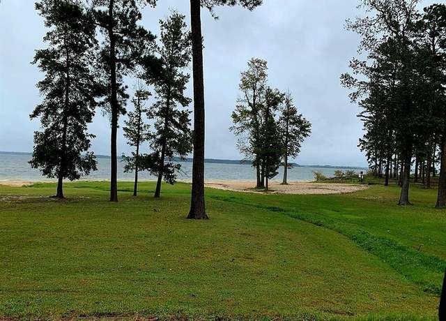 Property at 251 County Road 469, Broaddus, TX 75929