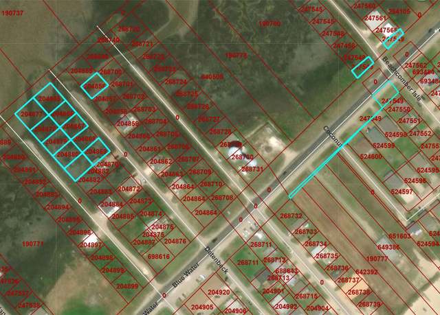 Property at 0 Saltgrass/detenbeck/beachcomber Ave, Surfside Beach, TX 77541