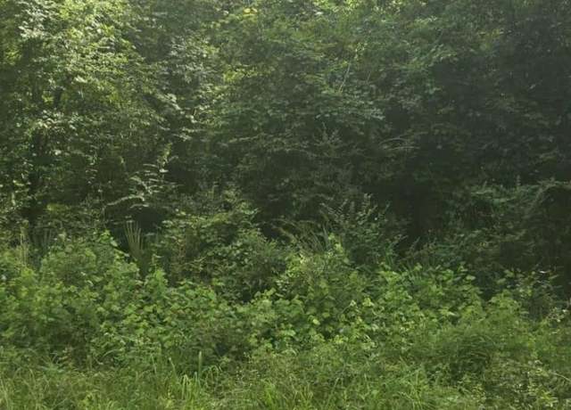 Property at TBD Ponderosa Cir, Conroe, TX 77302