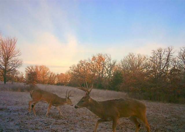 Property at TBD County Road 707, Kosse, TX 76653