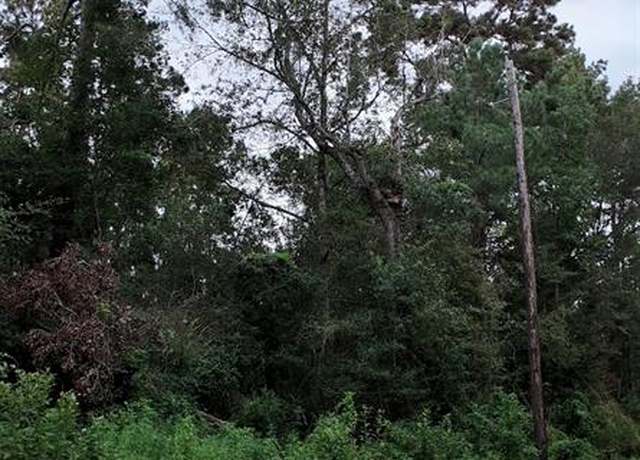Property at TBD North Essex Dr, Conroe, TX 77302