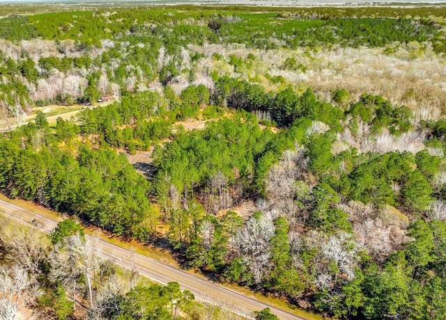 Property at 9871 Fm 256 E, Colmesneil, TX 75938