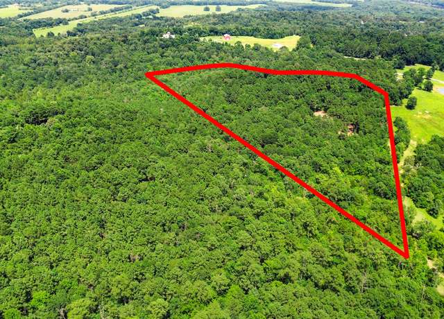 Property at 268 Cedar Valley Rd, Coldspring, TX 77331