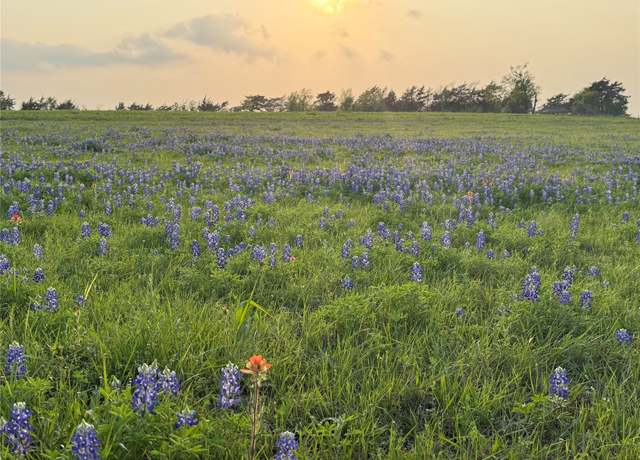Property at 000 Krueger Rd, Bleiblerville, TX 78931