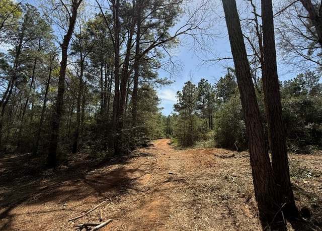 Property at 9758 Renfaire Dr, Plantersville, TX 77363
