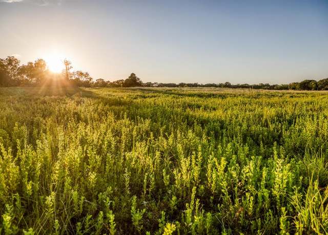 Property at TBD Sandstone Ln, Bellville, TX 77418