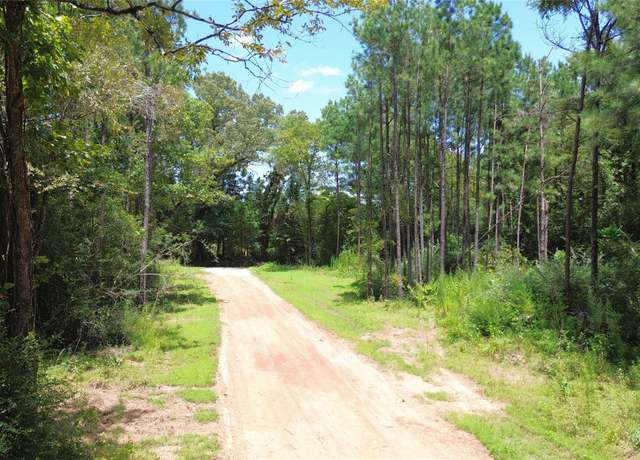 Property at 5675 Cr 1050, Kennard, TX 75847